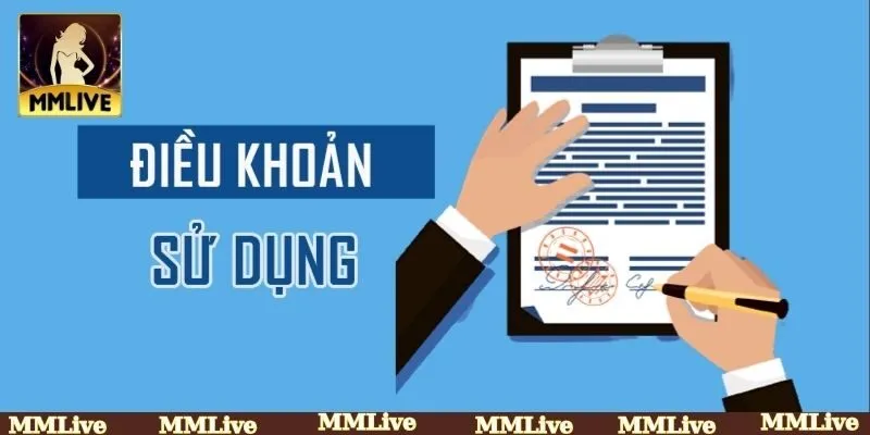 Vì sao việc hiểu rõ điều khoản sử dụng lại quan trọng?